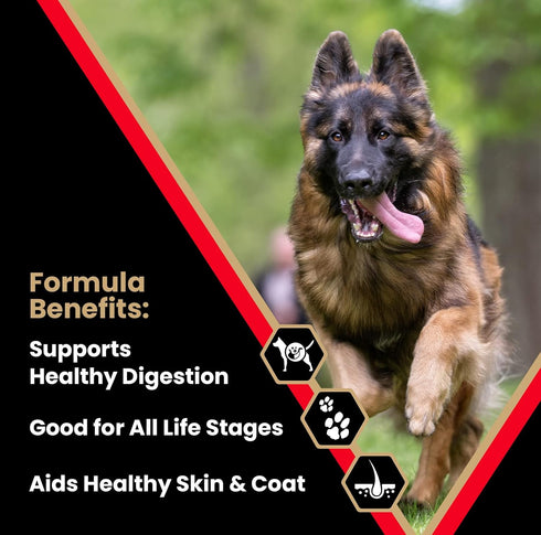 Victor Super Premium Dog Food – High Energy Dry Dog Food for Active Dogs, Gluten Free with Beef and Chicken Meal