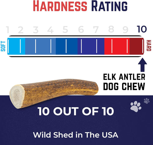 Devil Dog Pet Co. Elk Antlers for Dogs, Small 4"+, 1 Pack, Grade A Long Lasting Chew
