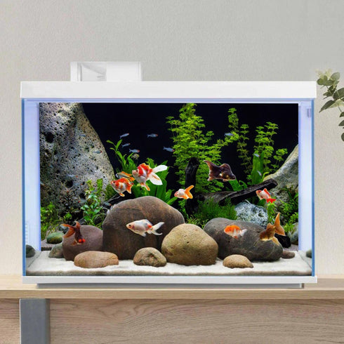 AWERT 36x24 inches Vinyl Background, Underwater Aquatic Plant Fish Tank Background, Stone River Bed & Lake