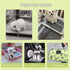 PeSandy 100PCS Chinchillas Rabbit Pee Pads, Pet Toilet/Potty Training Pads, All Absorb & Odor Control Disposable Cage