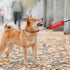 Reactive Not Aggressive Dog Leash Sleeve Wrap, Red Cover for Reactive Dogs, Gift for Dog Owners