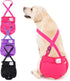 3 Pack Avont Washable Female Dog Diaper with Suspender, Reusable Girl Doggie
