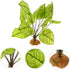 Didiseaon Goblincore Room Decor, Terrarium Landscape Plant Reptile Hiding Hut, Aquarium Fake Plant Ornament