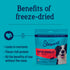 Stewart Beef Liver Supper Sprinkles, Dog Food Toppers, 2.5 oz Resealable Bag, Made in USA