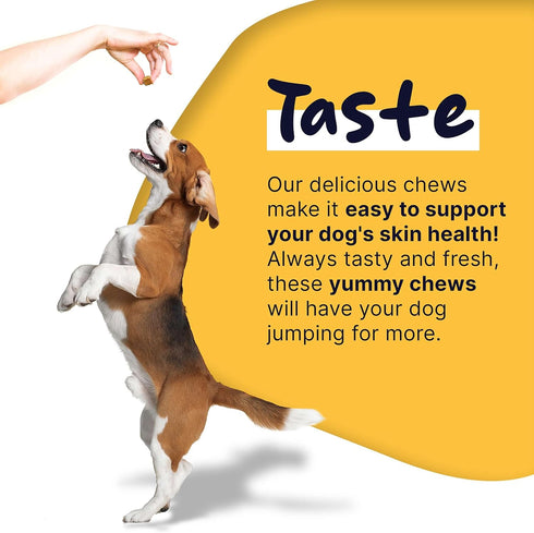 Dog Fish Oil Supplements - 180 Chew Treats with Omega 3, EPA, DHA, Biotin, and Vitamin E for Healthier Skin