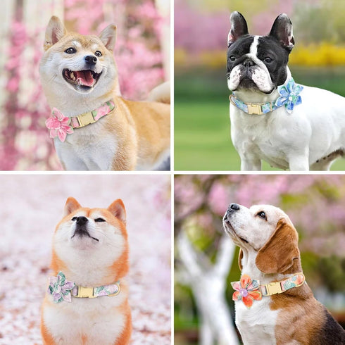 Beirui Cute Girl Dog Collars - Floral Dog Collar with Spring Flower Patterns, Soft Blue Pet Collars for Small Medium