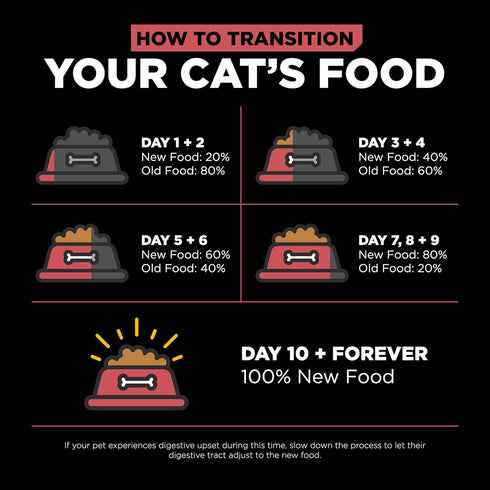 GO! SOLUTIONS Sensitivities Limited Ingredients Dry Cat Food - Salmon Recipe, 3 lbs