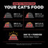 GO! SOLUTIONS Sensitivities Limited Ingredients Dry Cat Food - Salmon Recipe, 3 lbs