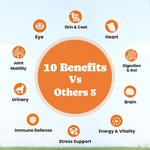 34-in-1 Immune (90-Day Dog Vitamins & Supplements Pet Multivitamin Softchews, Daily Dog Supplements for Hip & Joints