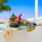 Cat Window Perch for Large Cats Inside, Sturdy Cat Window Hammock Seat