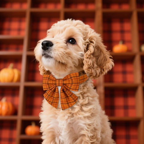 Maca Bates Fall Pumpkin Plaid Dog Collar with Sailor Bow Tie for Small Dogs, Adjustable Breakaway Soft Collar