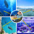 Salinity Refractometer: 0-100 Ppt for Seawater and Marine Fishkeeping with Automatic Temperature Compensation