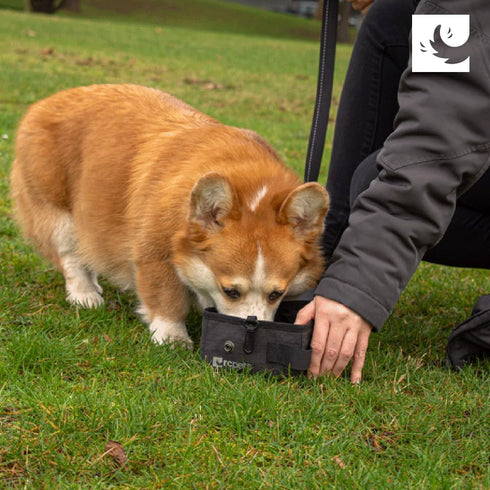 RC Pets On The Go Dog Travel Bowl, Heather Black