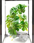 2Pack Woyrise Reptile Plants for Terrarium, Artificial Hanging Plants with Suction Cups, Amphibian Tank Habitat Decor