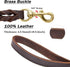 Guiding Star Leather Dog Leash 5ft, Heavy Duty Braided Handmade Leather for Large & Medium Dogs (5ftx3/4inch, Brown)