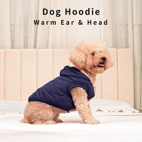 Fleece Lining Extra Warm Dog Hoodie for Small Dogs, Winter Jacket with Hood, Blue, M