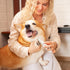 Cofiabby Trimmer 2 Electric Paw for Dogs & Cats - Quiet Rechargeable Clipper with LED Light, Wide Blades, Waterproof