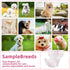 FUNLIYING 90 Count 16-22 Disposable Dog Diapers Female Doggie Diapers for Female Dogs (Waist in XL) Super Absorbent