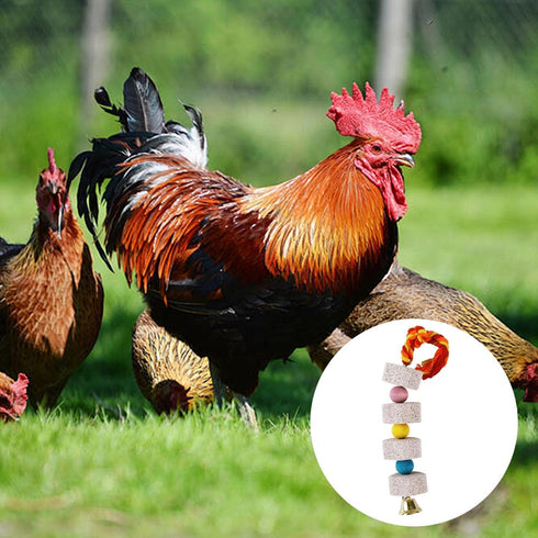 YOULJINTFA 2 Pcs Large Chicken Chewing Toy with Bell Chicken Coop Accessories Chick Beak Grinding Calcium Stone