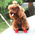 URBEST 2 Pairs Santa Red Christmas Puppy Shoes Boots, 5#