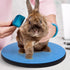 AceOrbit Chinchilla Rabbit Grooming Kit Bunny Grooming Table with Non Slip Blue Felt Mat Pets Groom Platform for Guinea