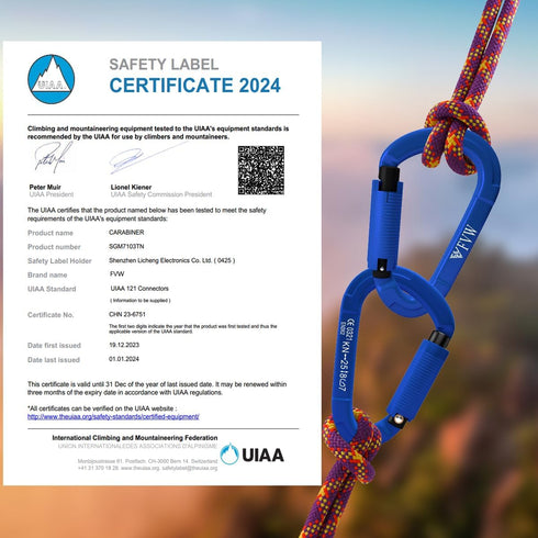 FVW Auto Locking Rock Climbing Carabiner Clips - Professional 25KN Heavy Duty Caribeaners for Rappelling and Gym