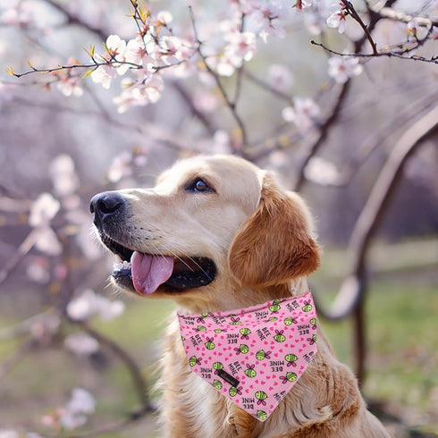ARING PET Bee Dog Bandanas, Spring Yellow Pink Bees Pet Bandana Scarf Triangle Bibs for Puppy Small Medium Large Boy
