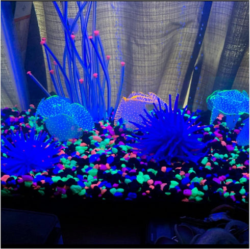 WishLotus 2 Pack Aquarium Coral Decoration, Soft Silicone Fish Tank Glow Decor with Suction Cups, Fluorescent Effect