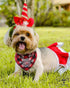 JPB Christmas Dog Bandana Pack of 4 Classic Buffalo Plaid Pets Scarf Triangle Bibs Kerchief Set
