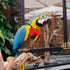 Bird Diaper Washable Reusable Parrot Flight Suit Nappies Protective Breathable Parrot Nappy Clothes for Parakeet