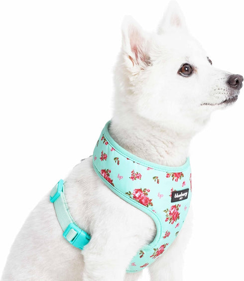 Blueberry Pet Floral Dog Vest Harness, Turquoise, X-Small, Lightweight & Comfy Fit for Small Breeds, No Pull Design