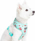Blueberry Pet Floral Dog Vest Harness, Turquoise, X-Small, Lightweight & Comfy Fit for Small Breeds, No Pull Design