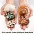 5PCS Medium and Large Hermit Crab Shells, Natural Sea Conch Size 2.2" - 3.4" for Hermit Crab Supplies