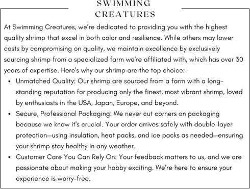 Swimming 10 Creatures Premium High-Grade Blue Diamond (Blue Dream) Neocaridina Shrimp Live