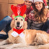 4 Pieces Cute Cat Dog Christmas Accessories, Santa Hat Scarf Bow Tie Collar Reindeer Antlers for Small Pets