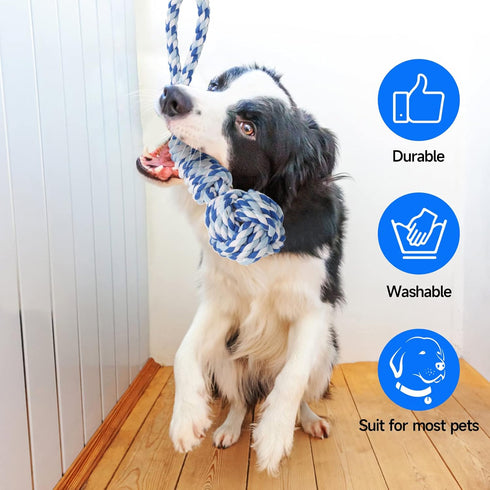 Spring Pole Dog Rope Tug of War Toy for Medium to Large Dogs - Bungee Hanging Exercise Ropes for Muscle Building