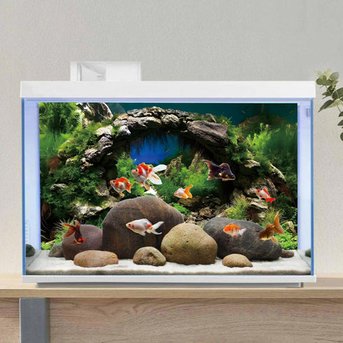 AWERT 36x24 inches Arch Stone Aquarium Background - River Bed & Lake Vinyl Background for Fish Tank