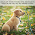 Dog Stake Tie Out Cable, 16" Anti Rust Reflective Stake for Medium Large Dogs, Outdoor Use