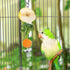 Bird Food Holder Stainless Steel Skewer for Parrots, Cockatoo, Cockatiel Cage Treating Tool (L: 7.86 inch)