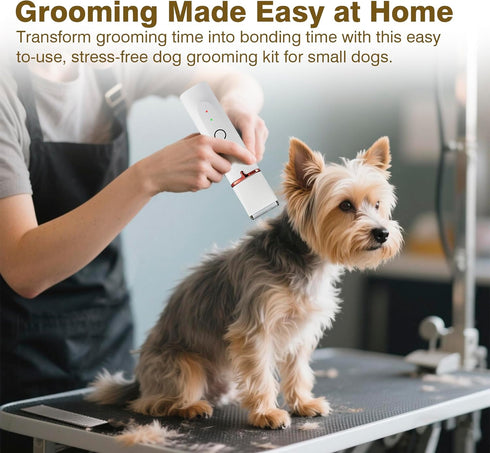 Petium 4-in-1 Trimmer,USB-C IPX4 Cats,6 Dog Grooming Clippers Kit-Quiet Dog Nail Grinder & Paw Rechargeable Cordless
