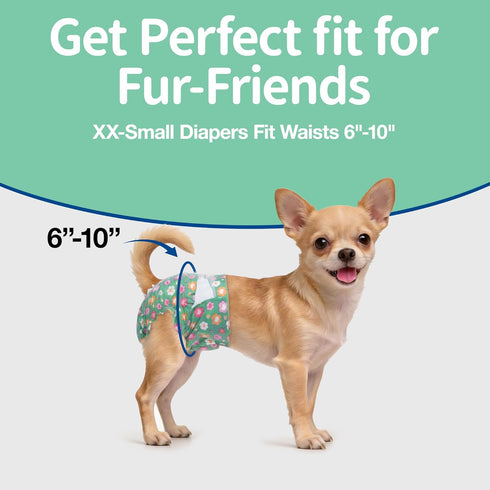 Hole(Green,12XXS) Pet Soft Dog Diapers Female, Disposable Female Dog Diaper, Doggie Diapers for Cat Puppy