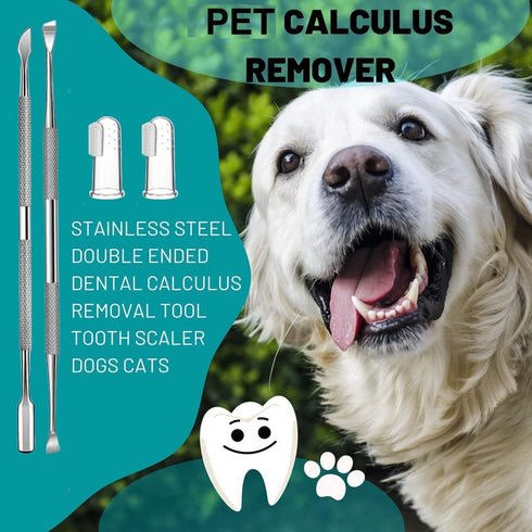 8 Pcs Dog Tartar Remover Tools, Cat Plaque Off Calculus Remover, Stainless Steel Dental Care for Dogs and Cats.