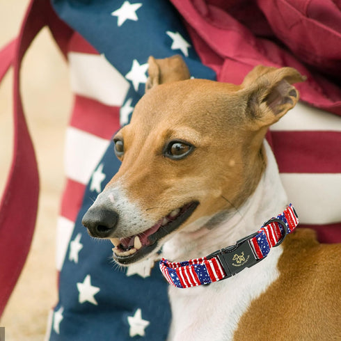 Independence Day Elegant Little Tail Dog Collar, Adjustable Holiday Pet Collar for Small Medium Large Dogs, Patriotic