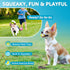 HDSX (8 Pack) Squeaky Dog Toys Soft Latex Rubber Squeaky Dog Balls for Puppy Small Pet Dogs (Round Balls)