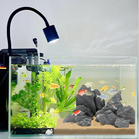 Natural Slate Stone Rocks 2 to 4 inch for Aquariums, Aquascaping, Terrariums, Reptile Enclosures, Paludariums, and