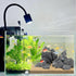 Natural Slate Stone Rocks 2 to 4 inch for Aquariums, Aquascaping, Terrariums, Reptile Enclosures, Paludariums, and