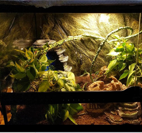 Flexible Bend-A-Branch Reptile Vines, Long Jungle Climber Habitat Decor for Chameleons, Lizards, Snakes