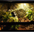 Flexible Bend-A-Branch Reptile Vines, Long Jungle Climber Habitat Decor for Chameleons, Lizards, Snakes