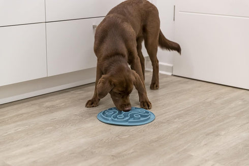 TRIXIE Slow Feeding Dog Puzzle Mat for Weight Control