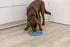 TRIXIE Slow Feeding Dog Puzzle Mat for Weight Control